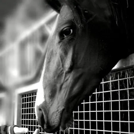 Frühstückspension Haras De La Cour Fleury 3*