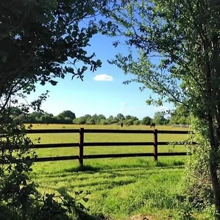 Haras De La Cour Fleury Bed and breakfast Saint-Michel-de-Livet