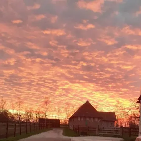 Bed & Breakfast Haras De La Cour Fleury Saint-Michel-de-Livet