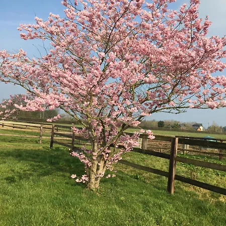 Haras De La Cour Fleury Bed and breakfast *