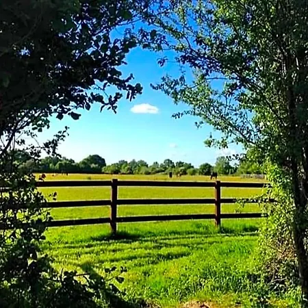 Haras De La Cour Fleury
