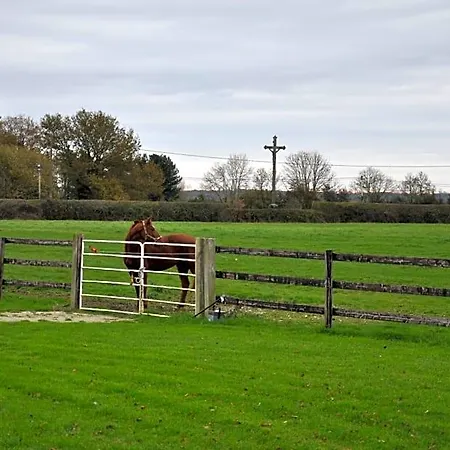 Haras De La Cour Fleury Saint-Michel-de-Livet