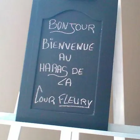 Haras De La Cour Fleury Nocleg ze śniadaniem