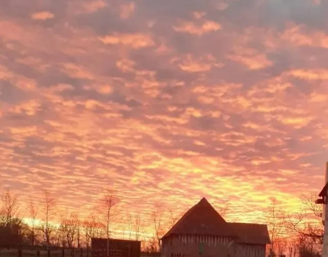 Bed & Breakfast Haras De La Cour Fleury Saint-Michel-de-Livet