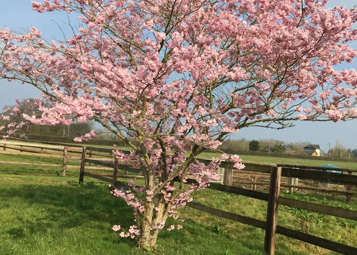 Haras De La Cour Fleury Bed & Breakfast 3*
