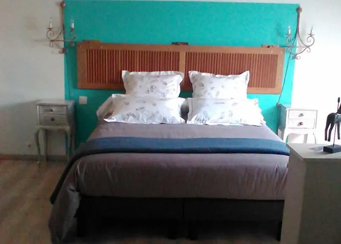 Haras De La Cour Fleury Bed & Breakfast 3*